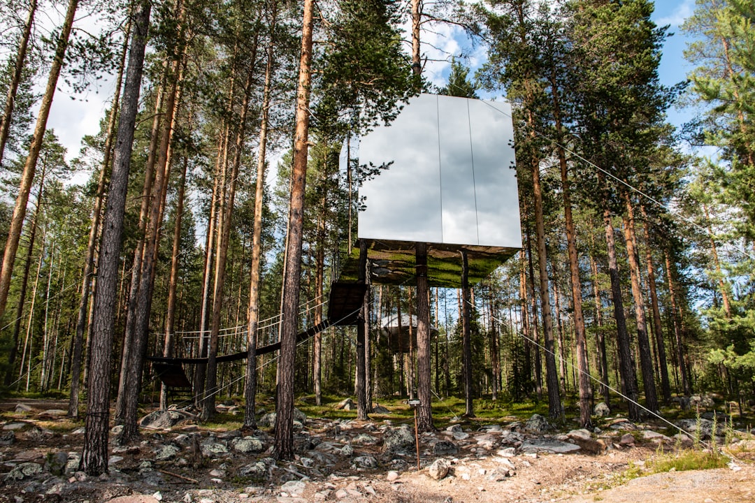 Picture of the Mirrorcube tree house which is part of the Treehotel in Harads/Sweden