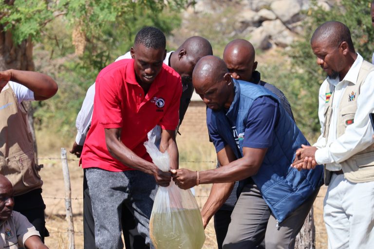 Rural Zimbabwe Turns to Fish Farming as Climate Pressures Intensify